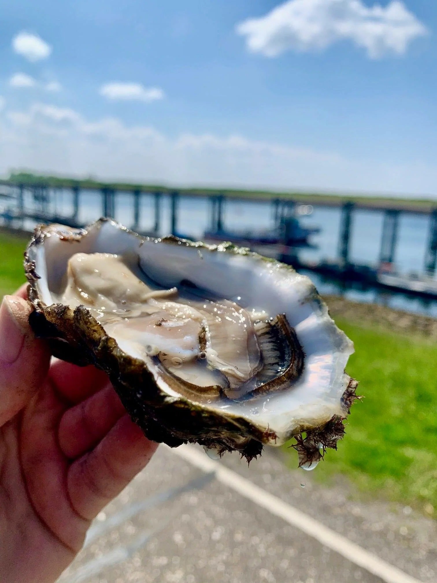 De Oesterdam : een geweldige uitstap!